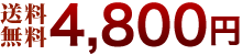 送料無料4,800円