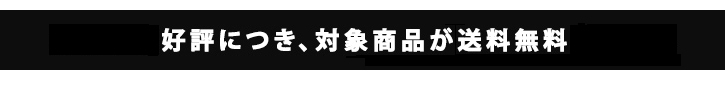 対象商品が2019年12月まで送料無料!