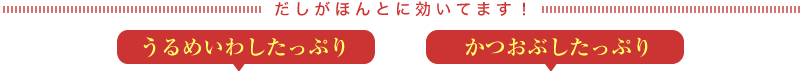 だしがほんとに効いてます！｜うるめいわしをたっぷりのだしはこちら♪